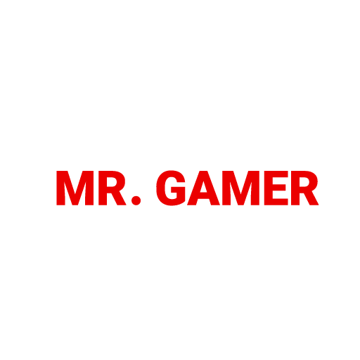 Mr.gamer